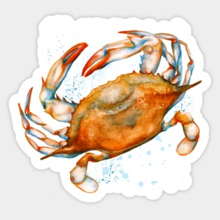 Watercolor soft shell crab Sticker